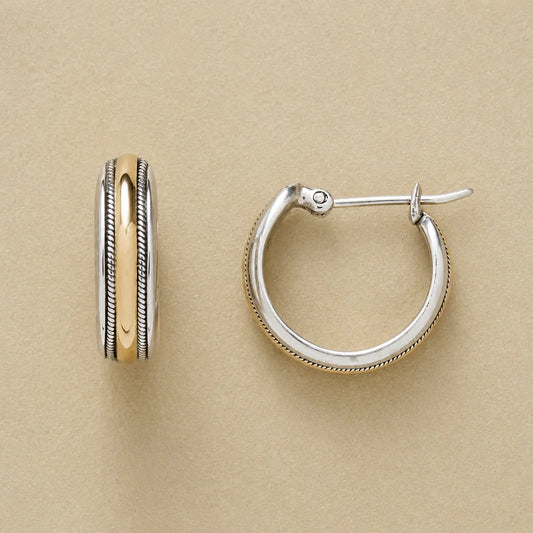 Shimmering Gold Silver Hoop Earrings